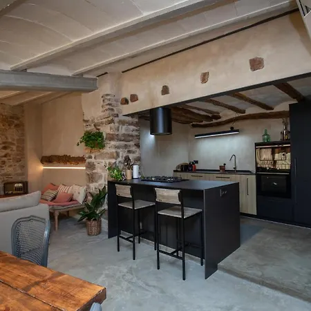 Cal Salero Holiday home Fontllonga
